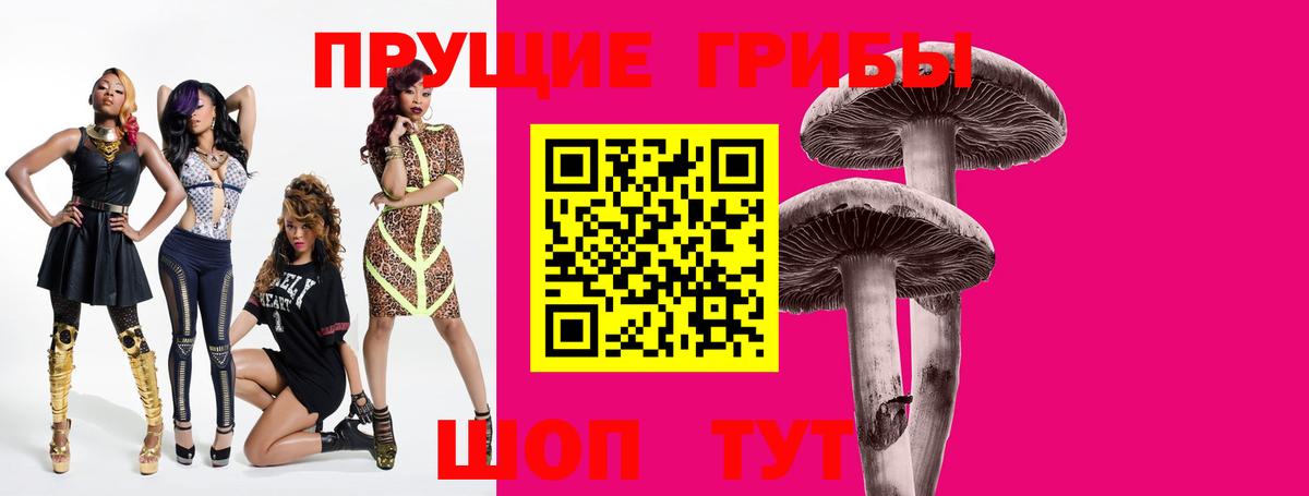 Псилоцибиновые грибы прущие грибы Богданович